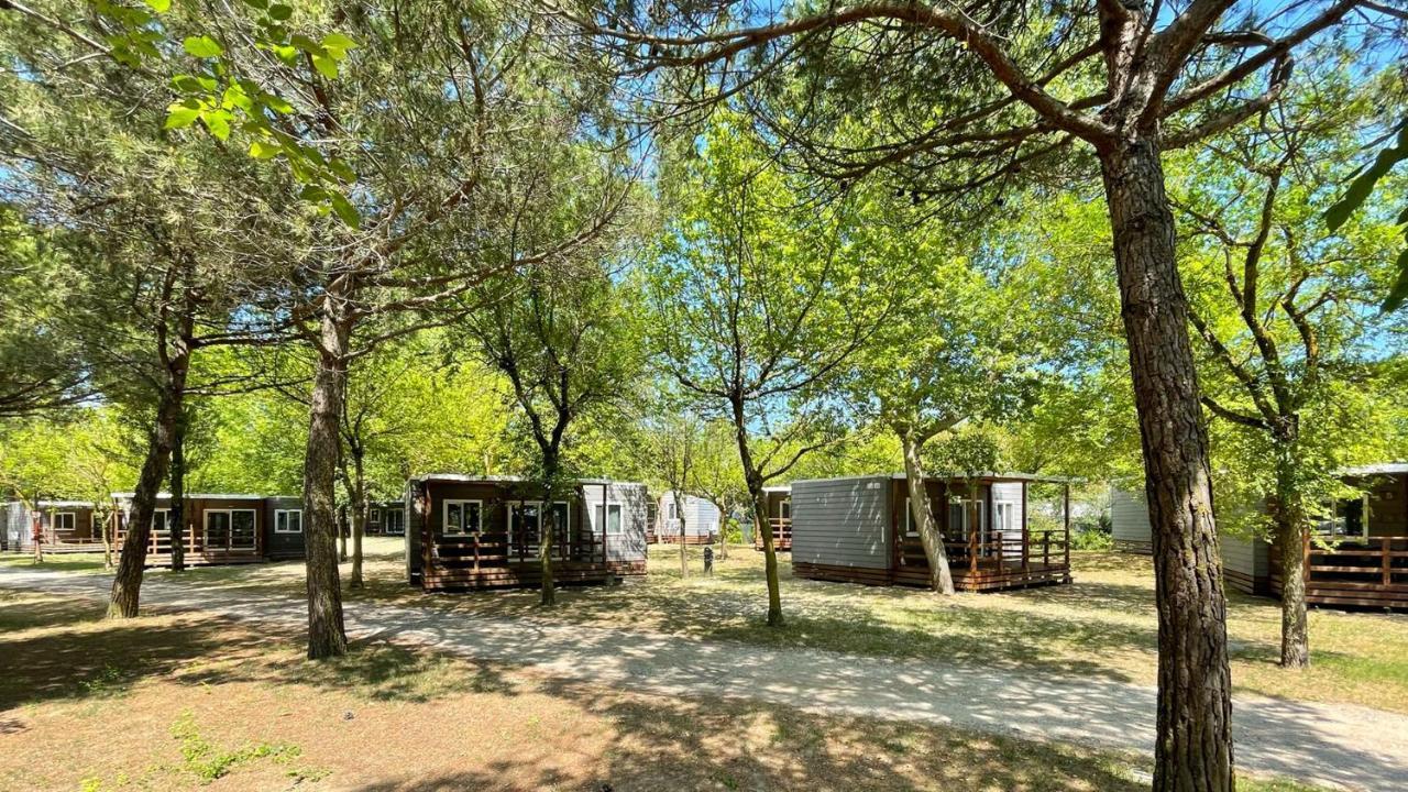 New Campsite In Camping Ca' Savio Cavallino-Treporti Eksteriør billede